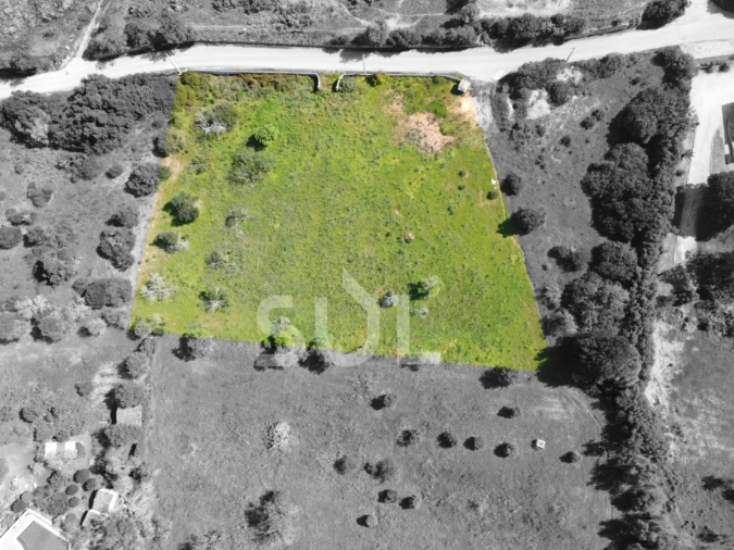 Terreno Agricola ou Rústico para Venda em Lagoa e Carvoeiro Foto 4