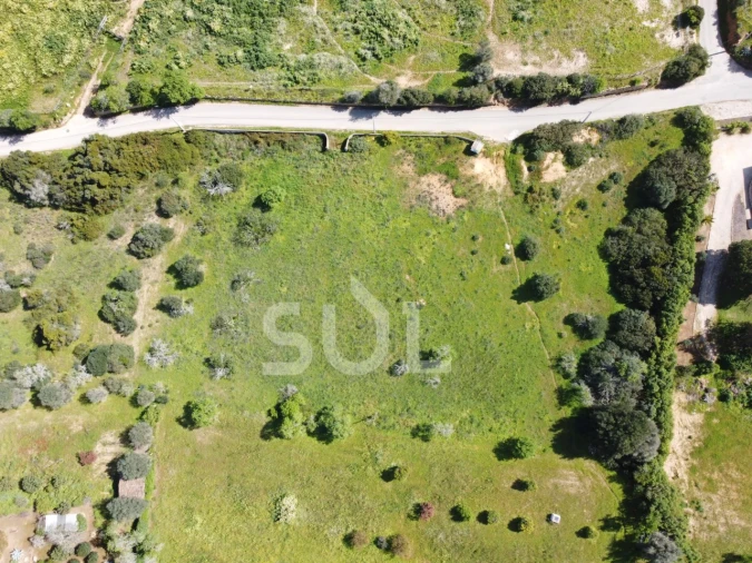 Terreno Agricola ou Rústico para Venda em Lagoa e Carvoeiro Foto 3