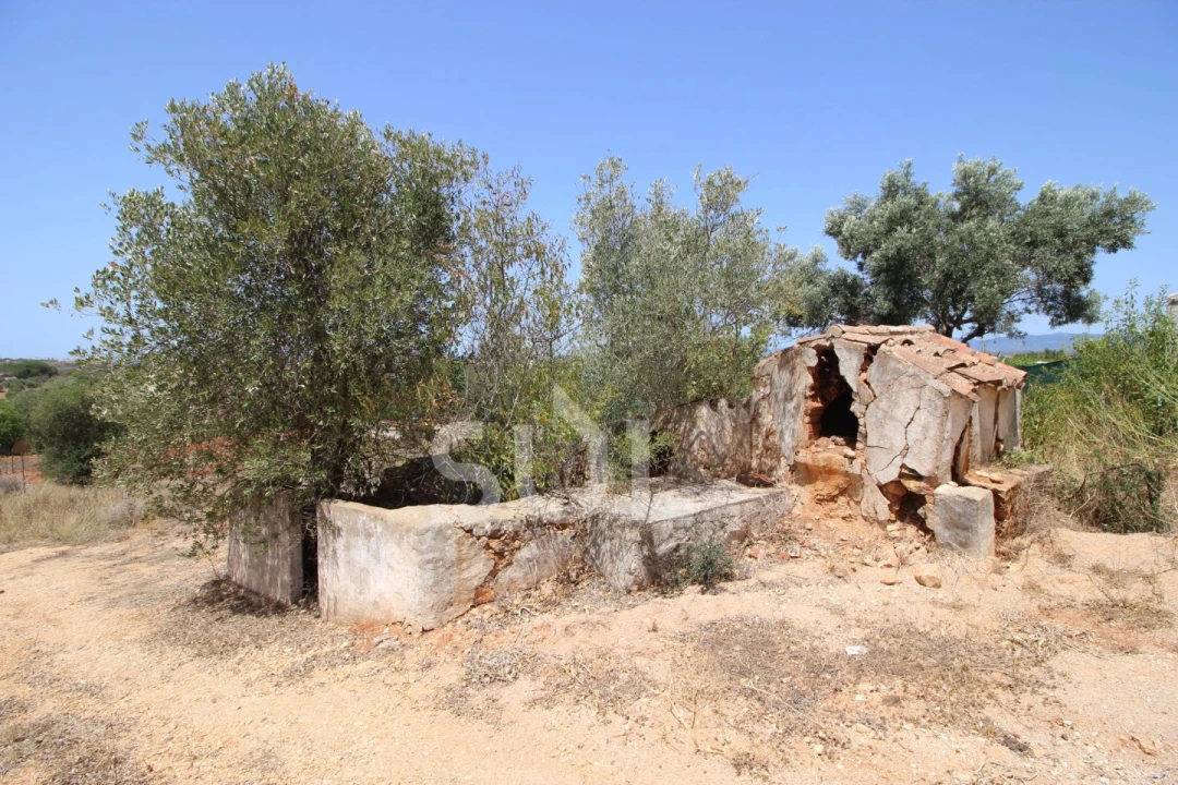 Terreno Misto para Venda em Silves Foto 23