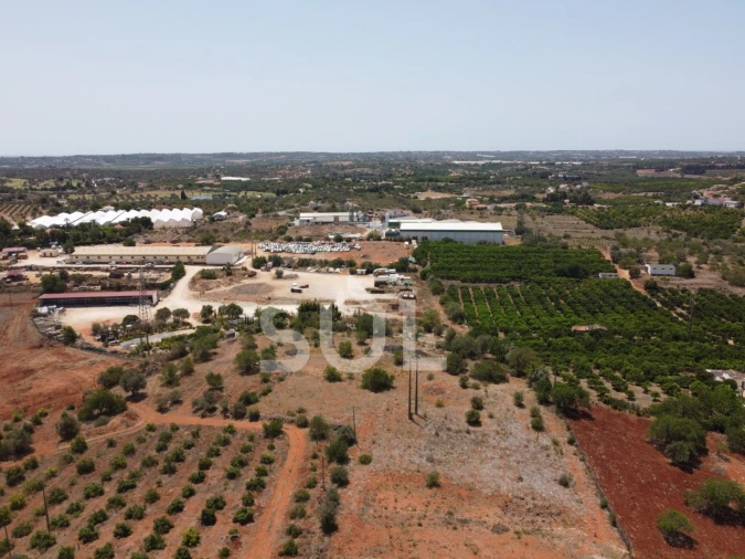Terreno Misto para Venda em Silves Foto 11