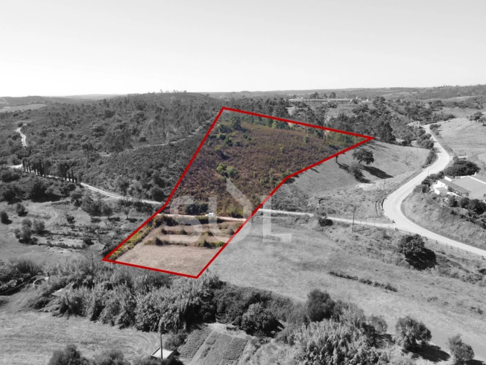 Terreno Agricola ou Rústico para Venda em Mexilhoeira Grande Foto 6