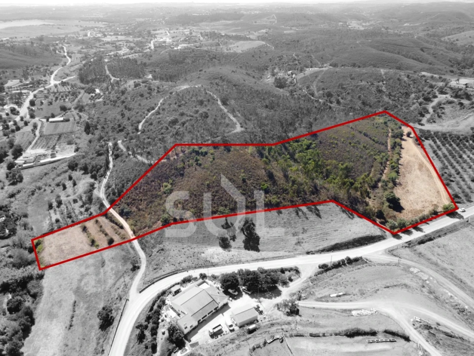 Terreno Agricola ou Rústico para Venda em Mexilhoeira Grande Foto 2