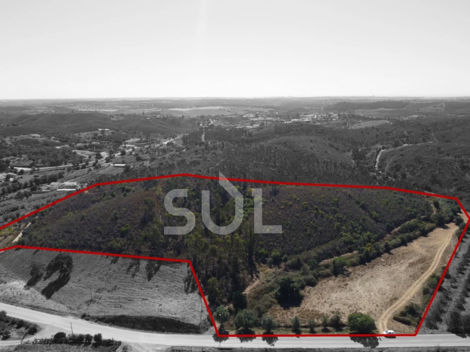 Terreno Agricola ou Rústico para Venda em Mexilhoeira Grande Foto 9