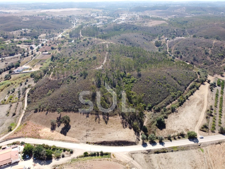Terreno Agricola ou Rústico para Venda em Mexilhoeira Grande Foto 14