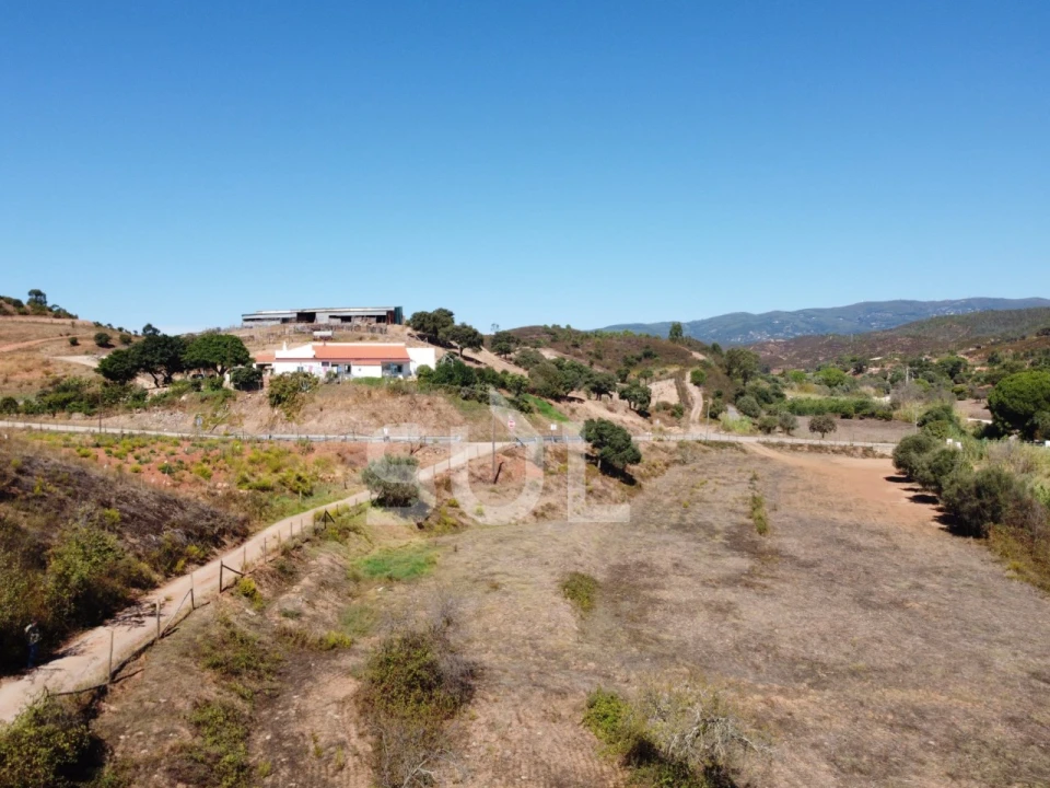 Terreno Agricola ou Rústico para Venda em Mexilhoeira Grande Foto 19