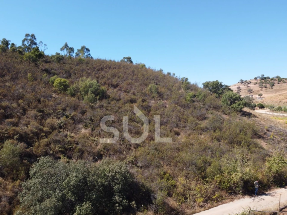 Terreno Agricola ou Rústico para Venda em Mexilhoeira Grande Foto 20