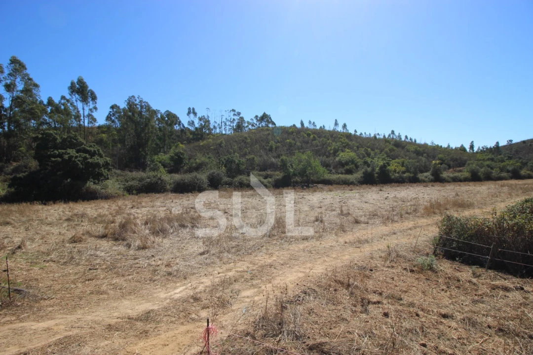 Terreno Agricola ou Rústico para Venda em Mexilhoeira Grande Foto 25