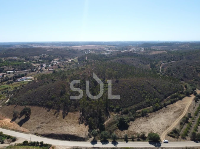 Terreno Agricola ou Rústico para Venda em Mexilhoeira Grande Foto 13