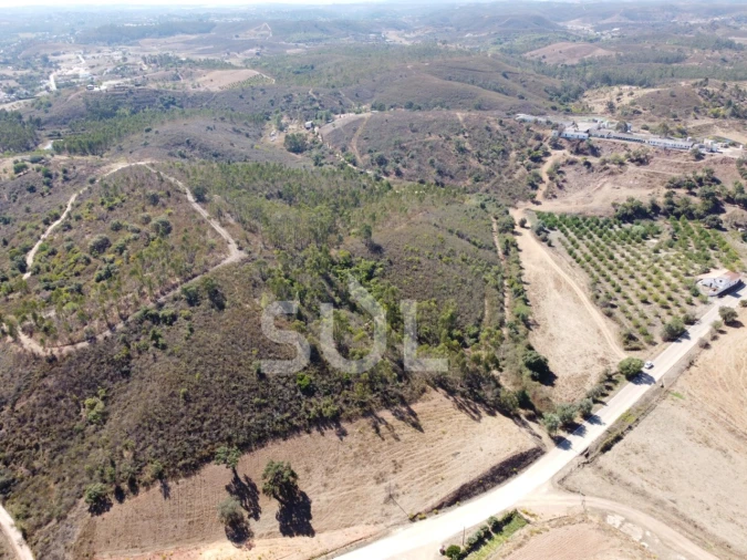 Terreno Agricola ou Rústico para Venda em Mexilhoeira Grande Foto 16