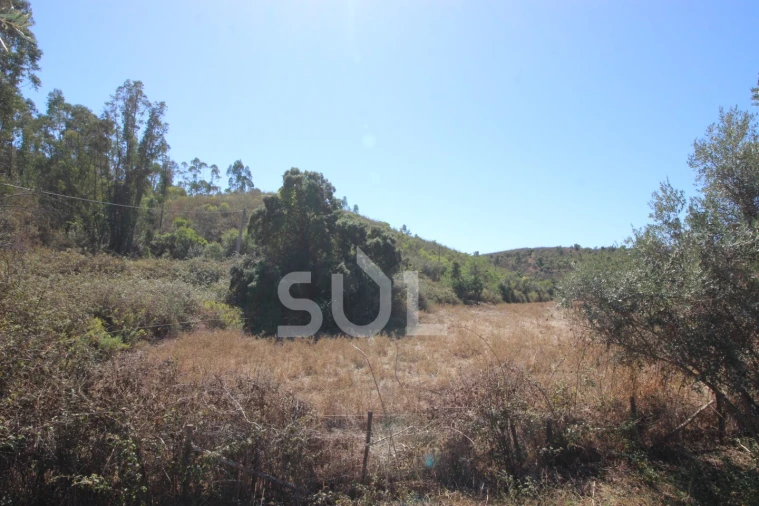 Terreno Agricola ou Rústico para Venda em Mexilhoeira Grande Foto 22