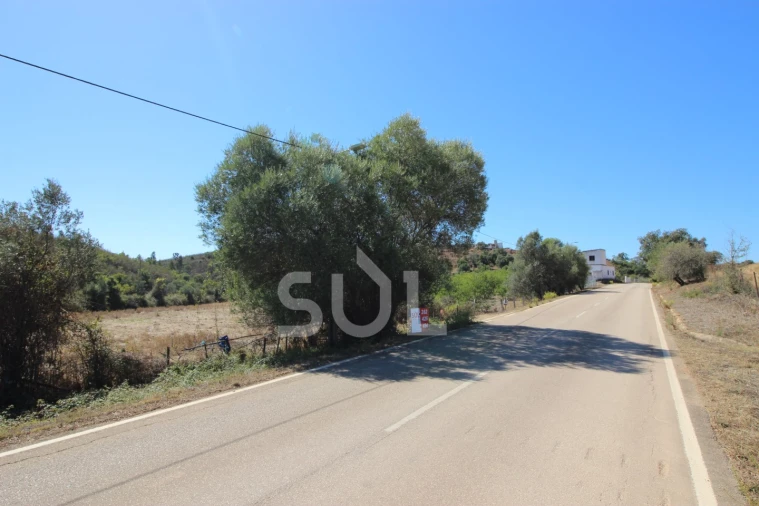 Terreno Agricola ou Rústico para Venda em Mexilhoeira Grande Foto 23