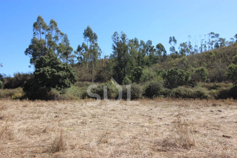 Terreno Agricola ou Rústico para Venda em Mexilhoeira Grande Foto 24