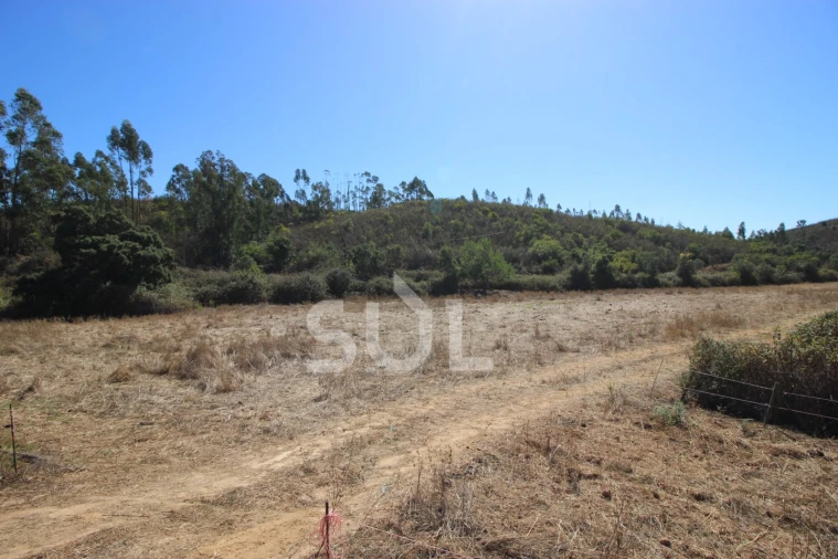 Terreno Agricola ou Rústico para Venda em Mexilhoeira Grande Foto 25
