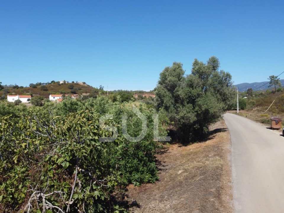 Terreno Agricola ou Rústico para Venda em Mexilhoeira Grande Foto 17
