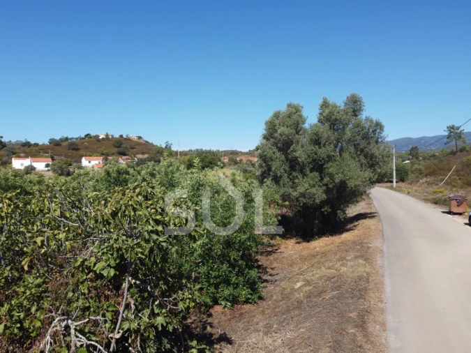 Terreno Agricola ou Rústico para Venda em Mexilhoeira Grande Foto 17