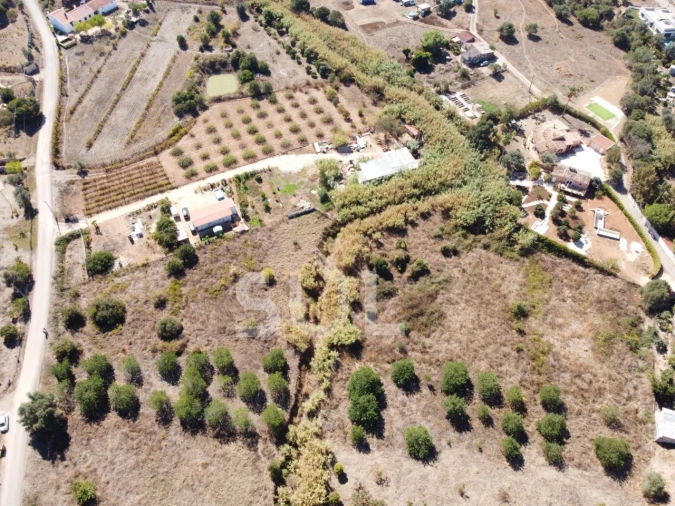 Terreno Agricola ou Rústico para Venda em Mexilhoeira Grande Foto 20
