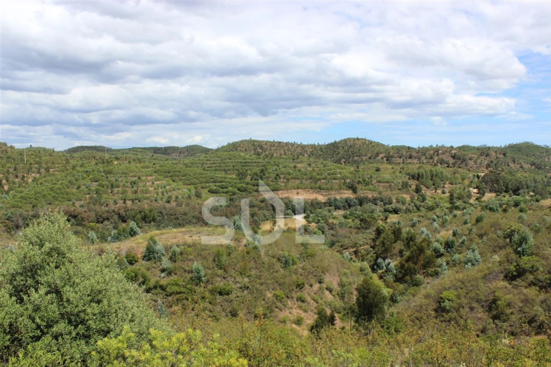 Quinta para Venda em Portimão Foto 15