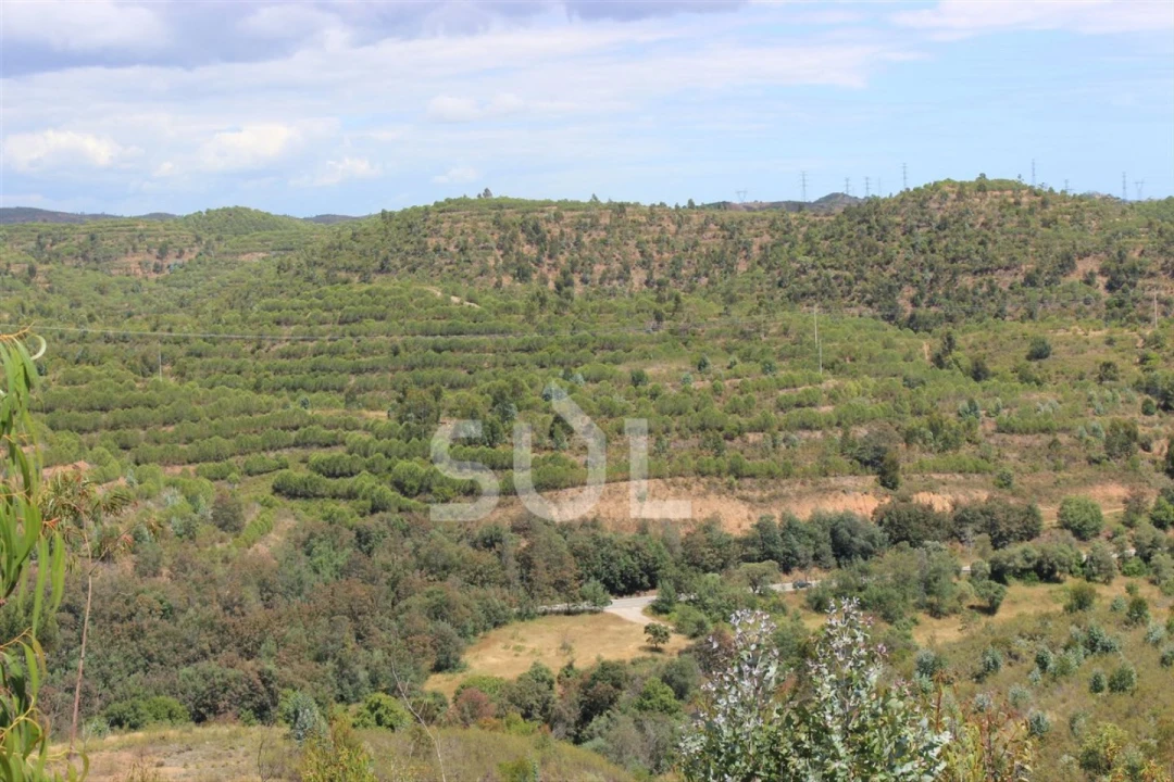 Quinta para Venda em Portimão Foto 18
