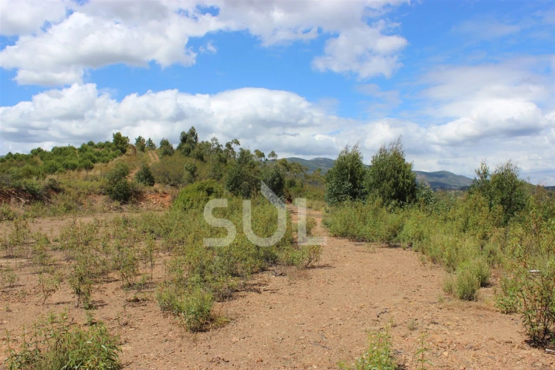Quinta para Venda em Portimão Foto 21