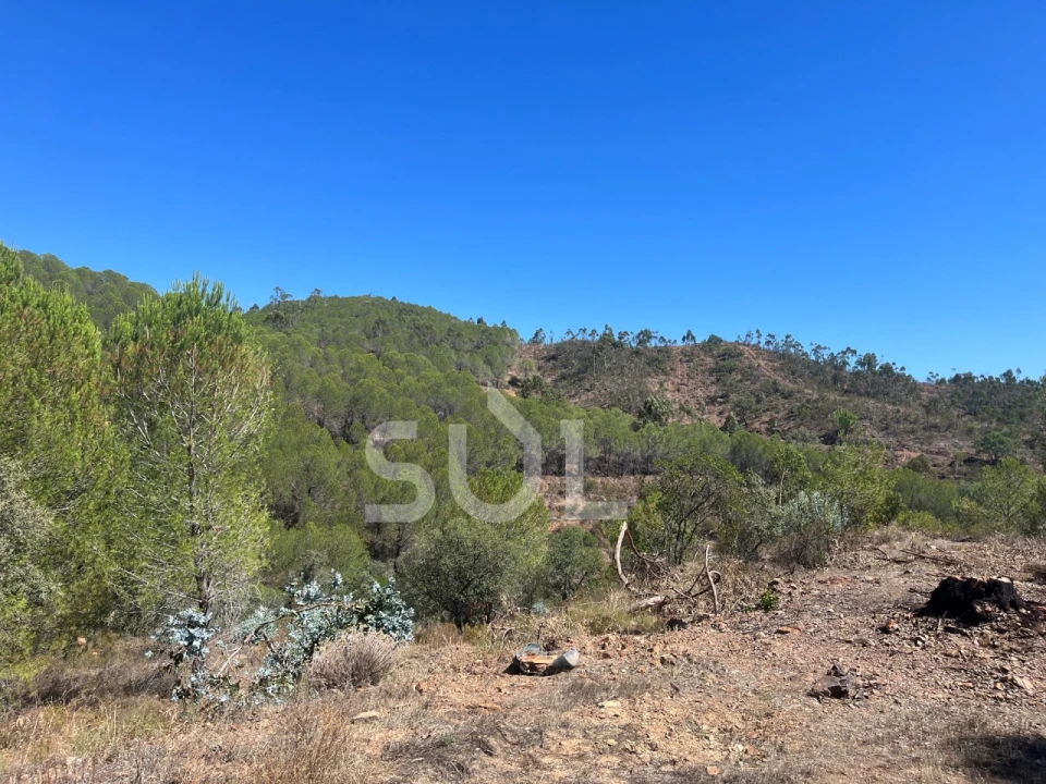 Quinta para Venda em Portimão Foto 23