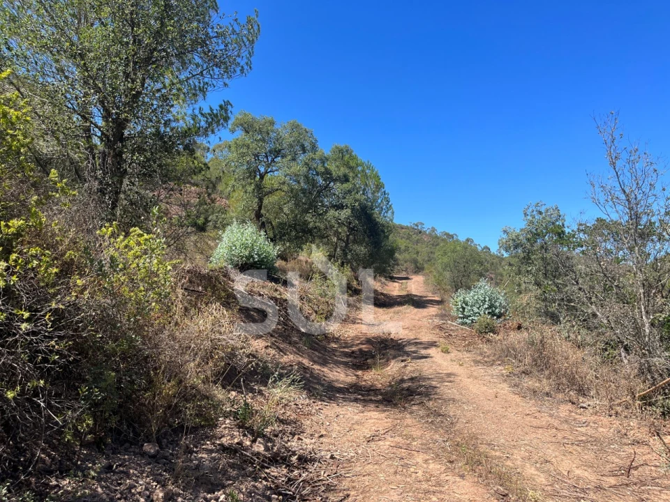 Quinta para Venda em Portimão Foto 24