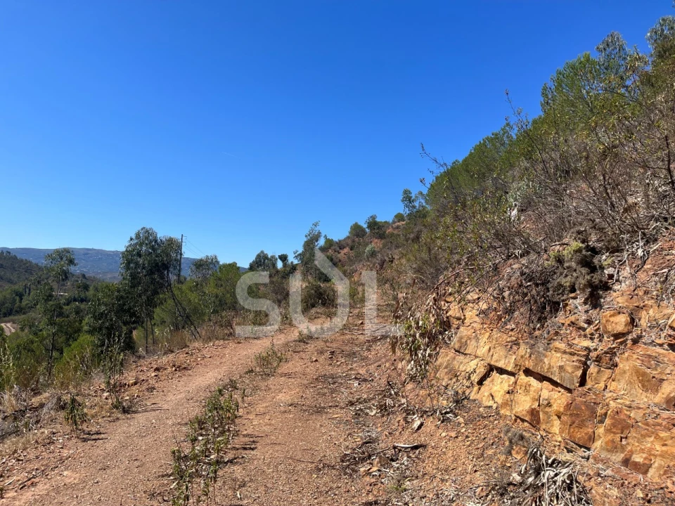 Quinta para Venda em Portimão Foto 4