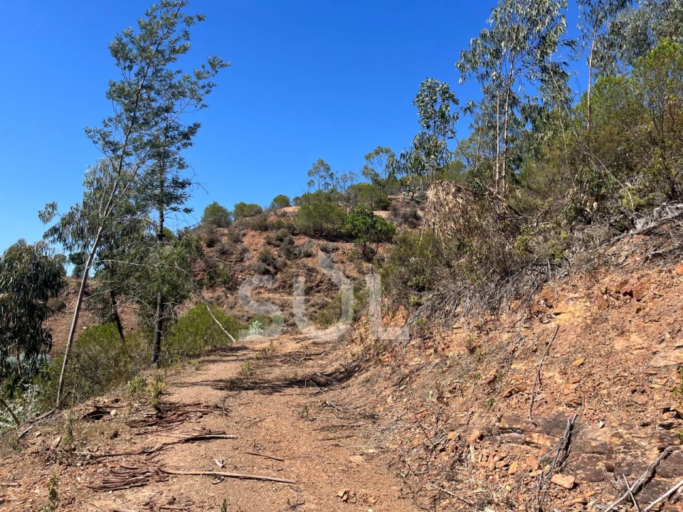 Quinta para Venda em Portimão Foto 28