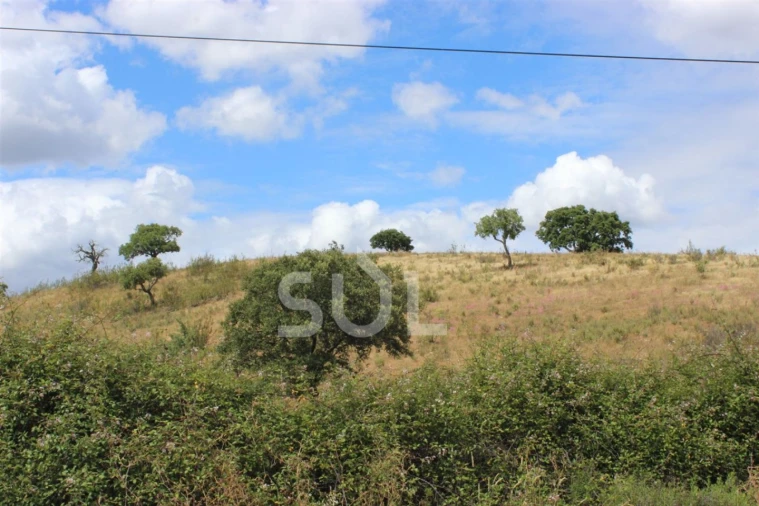 Quinta para Venda em Portimão Foto 5