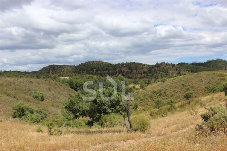 Quinta para Venda em Portimão Foto 7