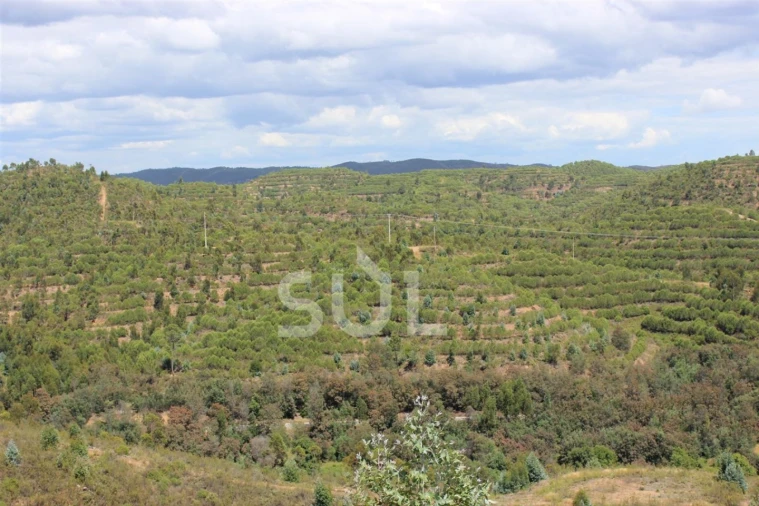 Quinta para Venda em Portimão Foto 22