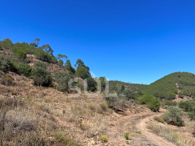 Quinta para Venda em Portimão Foto 25
