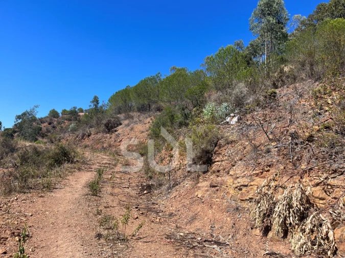 Quinta para Venda em Portimão Foto 26