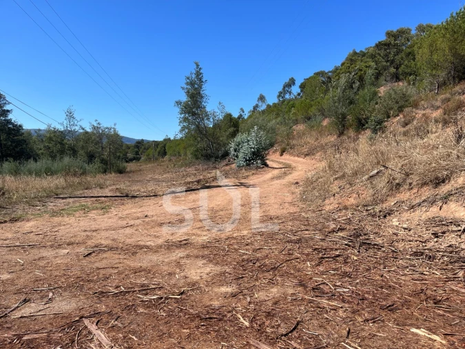 Quinta para Venda em Portimão Foto 31