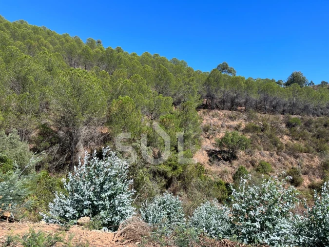 Quinta para Venda em Portimão Foto 32
