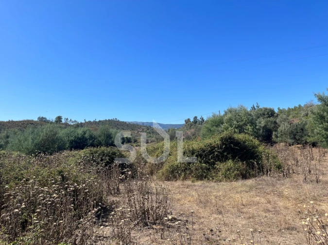 Quinta para Venda em Portimão Foto 34