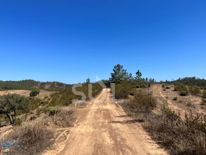 Quinta para Venda em Portimão Foto 35
