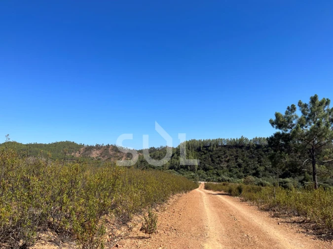 Quinta para Venda em Portimão Foto 39