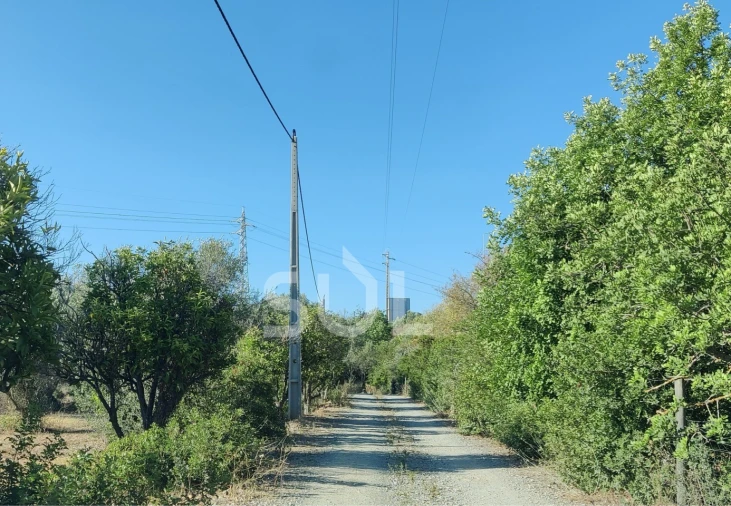 Terreno para Venda em Moncarapacho e Fuseta Foto 9