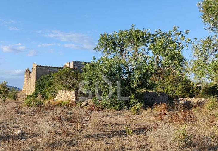 Terreno para Venda em Moncarapacho e Fuseta Foto 7