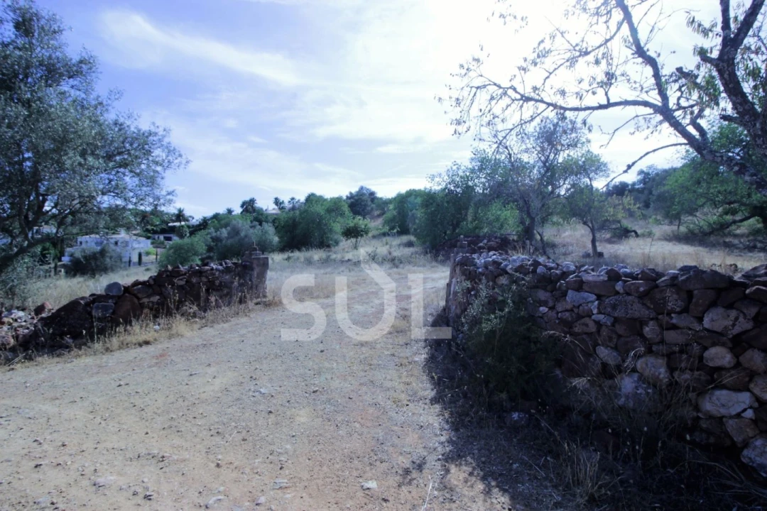 Quinta para Venda em Portimão Foto 3