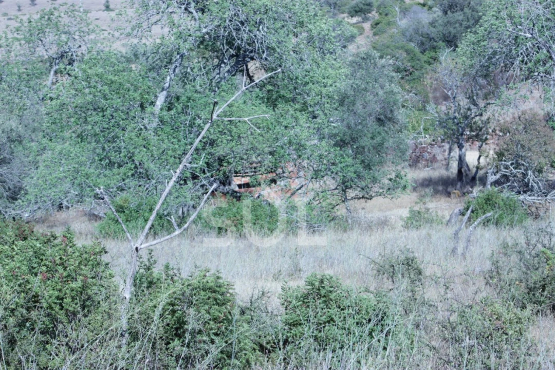 Quinta para Venda em Portimão Foto 31