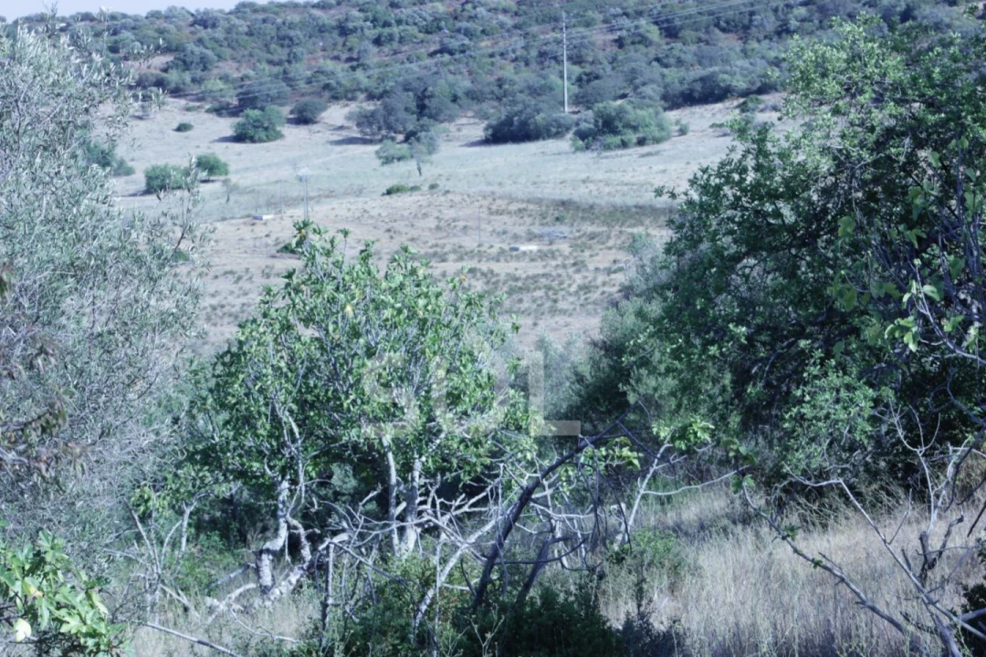 Quinta para Venda em Portimão Foto 32