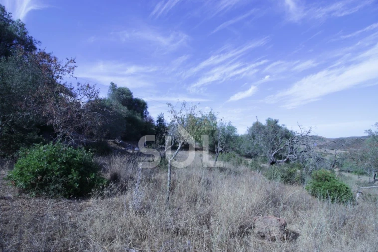 Quinta para Venda em Portimão Foto 8