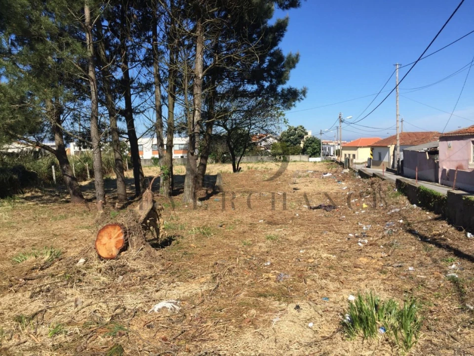 Terreno para Venda em São Felix da Marinha Foto 6