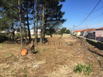 Terreno para Venda em São Felix da Marinha
