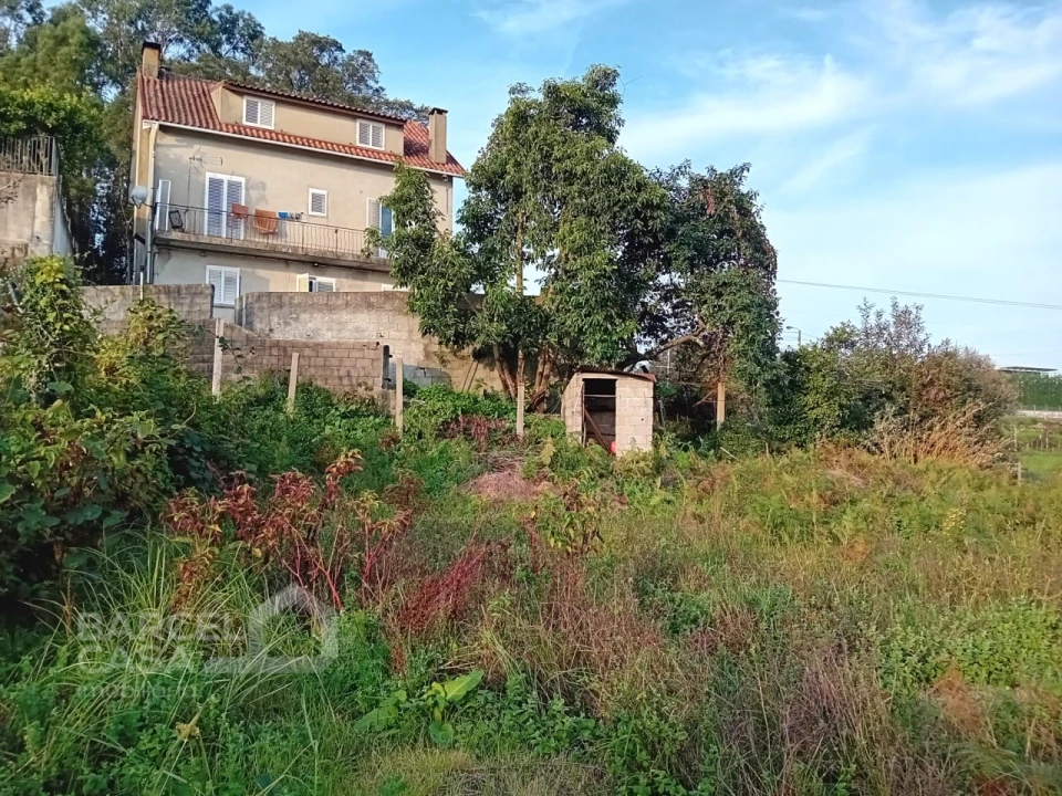 Terreno para Venda em Abade de Neiva Foto 6