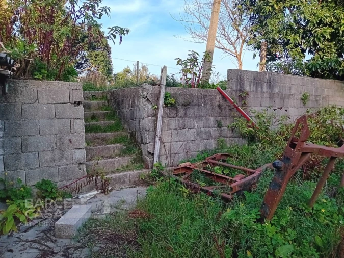 Terreno para Venda em Abade de Neiva Foto 4
