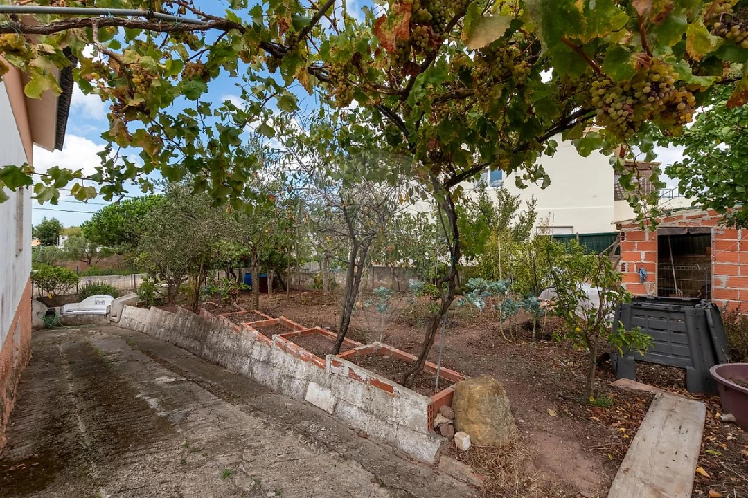 Moradia T3 para Venda em Santa Maria, São Pedro e Matacães Foto 21
