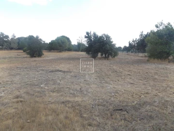 Moradia T10 para Venda em Grândola e Santa Margarida da Serra