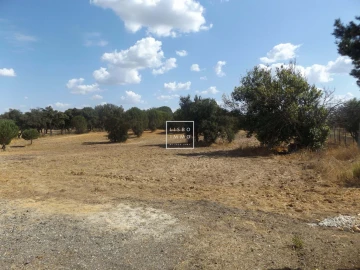 Moradia T10 para Venda em Grândola e Santa Margarida da Serra